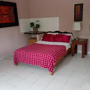  Apartment En Planta Alta A Pie De Avenida